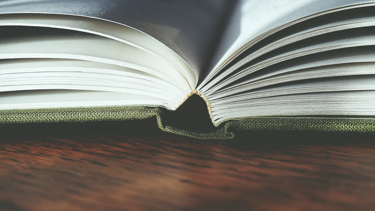 Bing indexing troubleshooting: 10 reasons pages aren’t indexed and how to fix them — Close-Up Photo of Book Pages